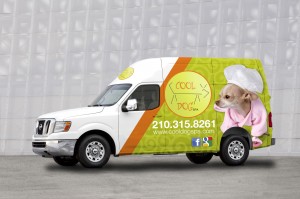Cool dog Van Driver